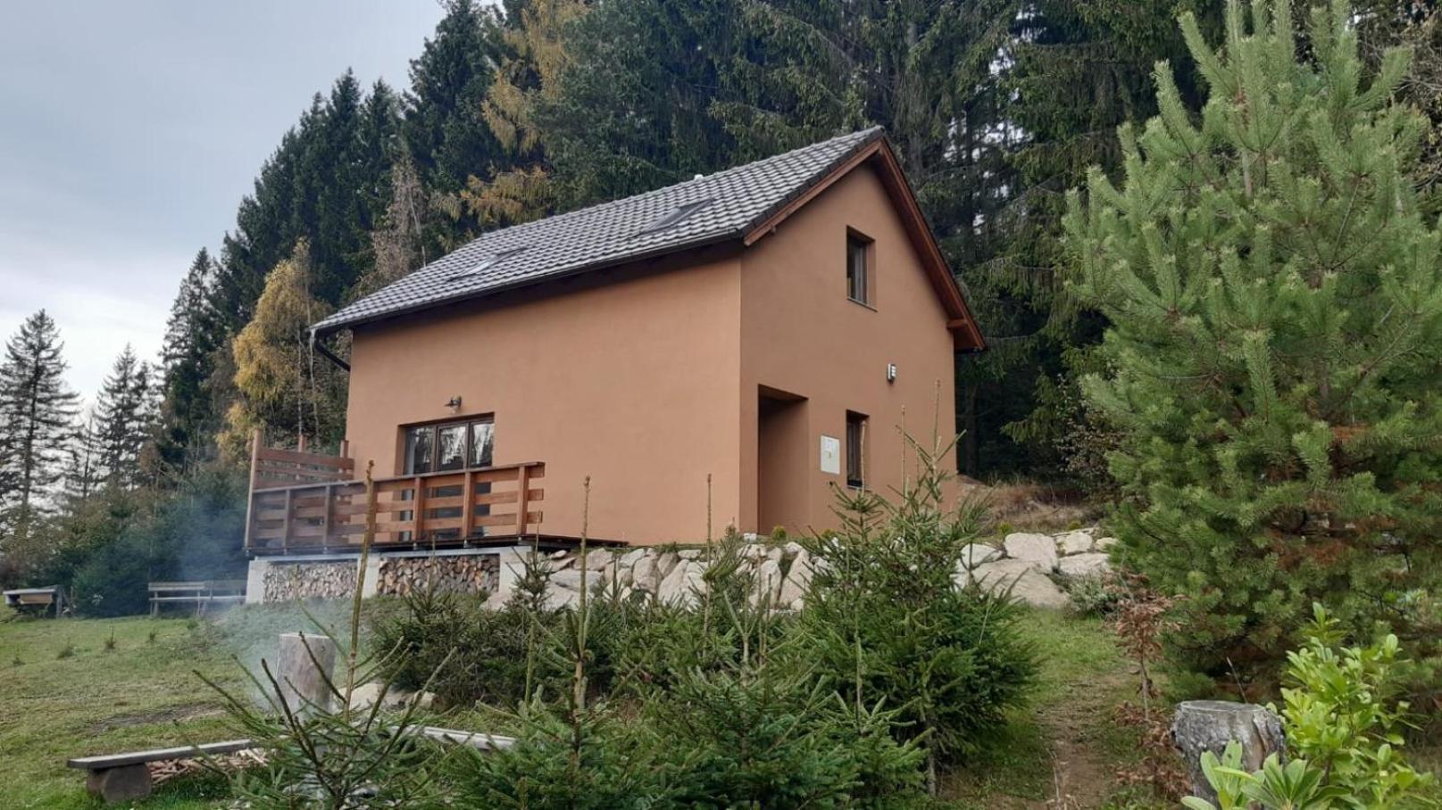 Chata Ostruzina 9 Lipno nad Vltavou Eksteriør billede